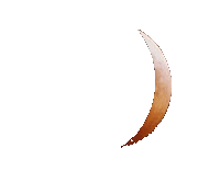 crescent moon over Baton Rouge